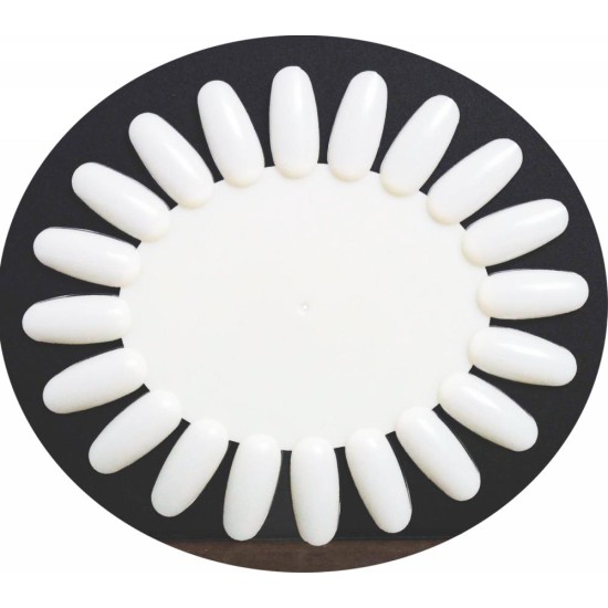 20-Tip Oval Polish Display 10 Displays White