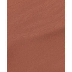 OPI Chocolate Moose #C89 Nail Polish