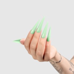 Chaun Legend Gel LG5134 Spearmint Secrets