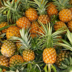 Liko Pineapple Cuticle Oil, 8oz, Organic Paraben Free