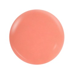 NotPolish - Dip M111 Pumpkin Spice 2oz Dip Powder
