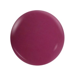 NotPolish - Dip M113 Big Plum 2oz Dip Powder