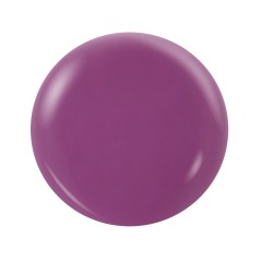 NotPolish Dip, Gel, Polish Trio OG194 Purple Haze