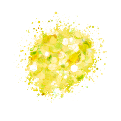 KiaraSky Sprinkle On Glitter #217 Sun Shrine, 1oz