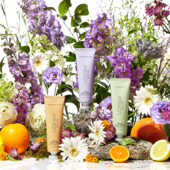 Voesh Vegan Body & Hand Creme Lavender Land, 50pc Case