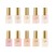 APRÉS Sheer Gel Couleur Spring Collection Set of 10pcs