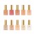 APRÉS Sheer Gel Couleur Fall Collection Set of 10pcs