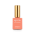 APRÉS Gel Couleur #221 Orangesicle, 0.5 fl oz