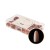 APRES Gel-X® Neutrals Natural Imani Round Medium 150pcs