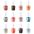 OPI Fall 2025 - What's Your Mani-tude? Intelli-Gel Collection 12pc Bundle