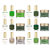 iGel Beauty Trio St. Patrick's Day 10pc Bundle, #68, 100, 101, 126, 161, 224