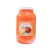 Liko Honey Sugar Scrub Mango Guava 1gal