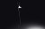 Daylight - Cometa Floor Lamp Ray Technology Lamps