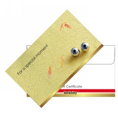 Gift Certificate & Envelope Design 05