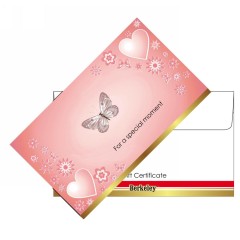 Gift Certificate & Envelope Design 08