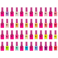 Nitro Vibe Duo Collection 24pc Bundle